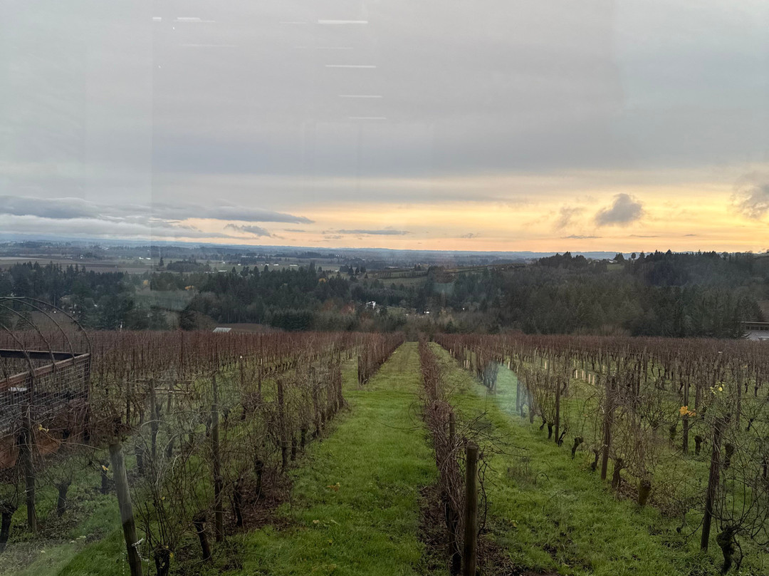 Furioso Vineyards-Dundee必去景点