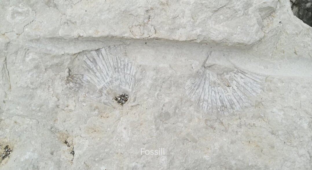 Chiesa della Madonna delle Grazie-Pozzilli必去景点