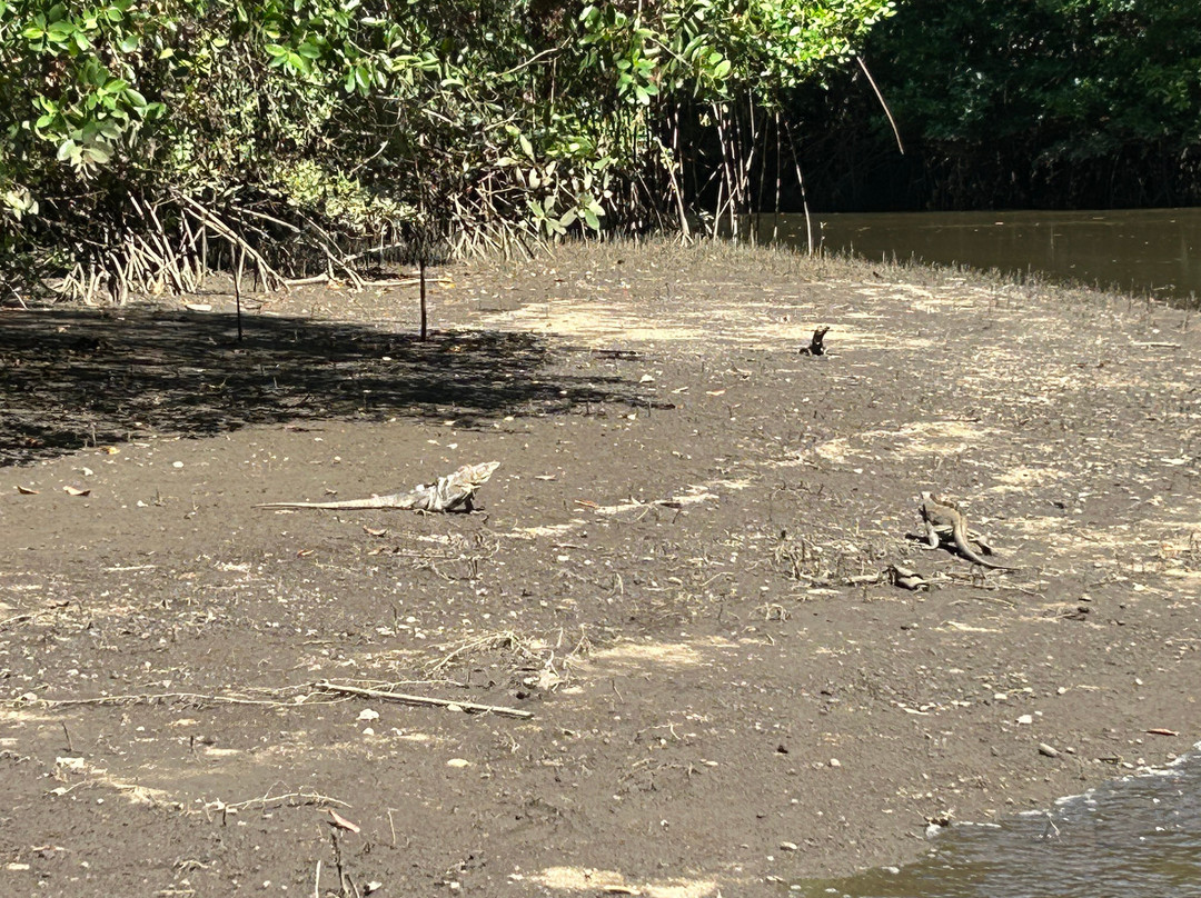 Life Time Travel-萨迪纳尔必去景点