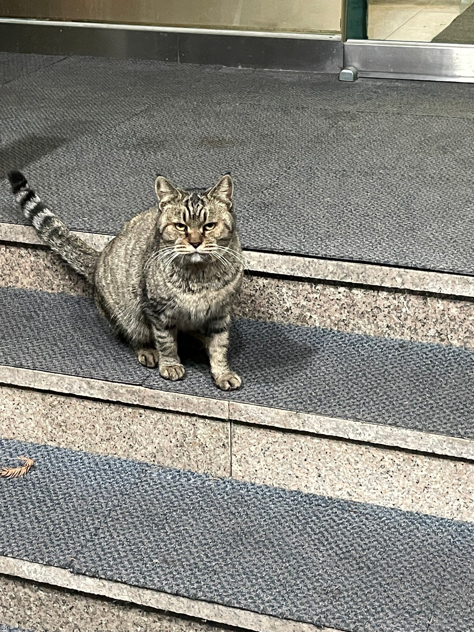 韦斯特恩酒店-官方