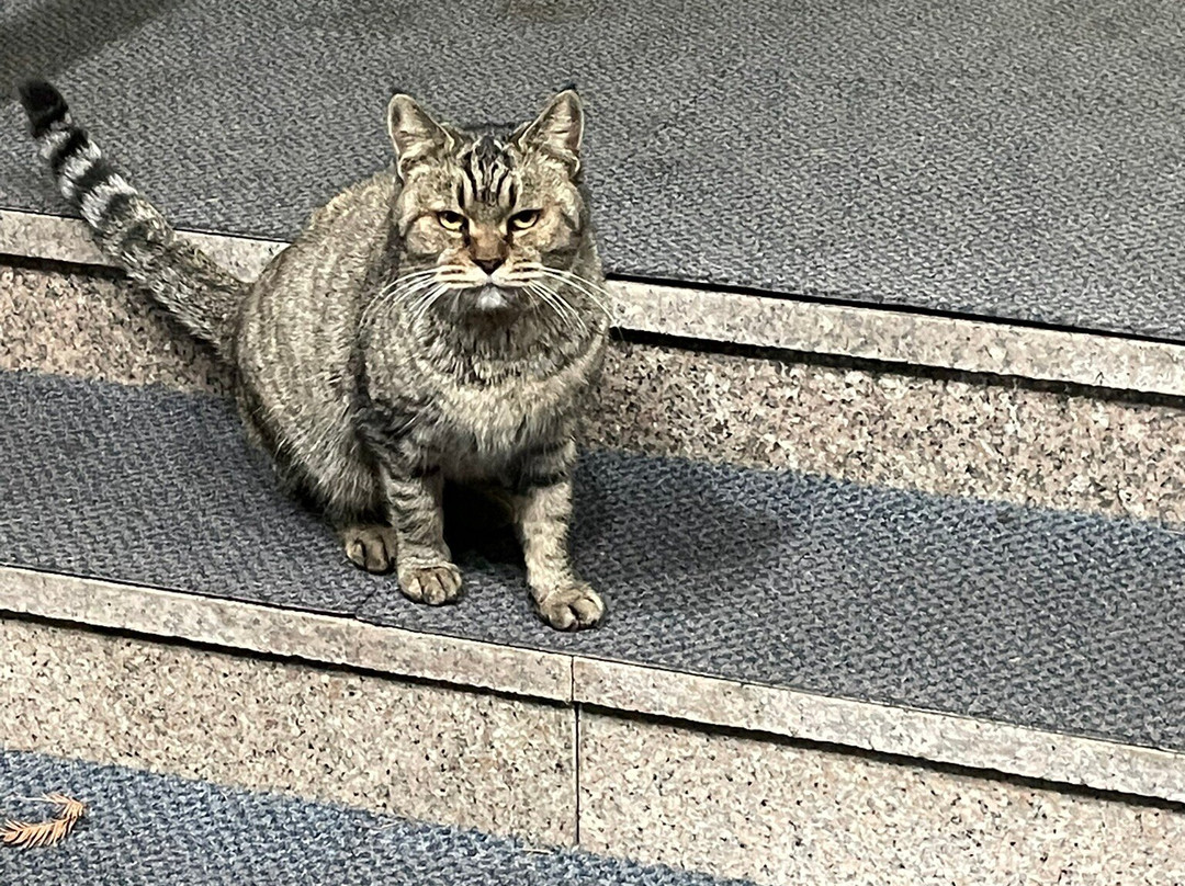 韦斯特恩酒店主图