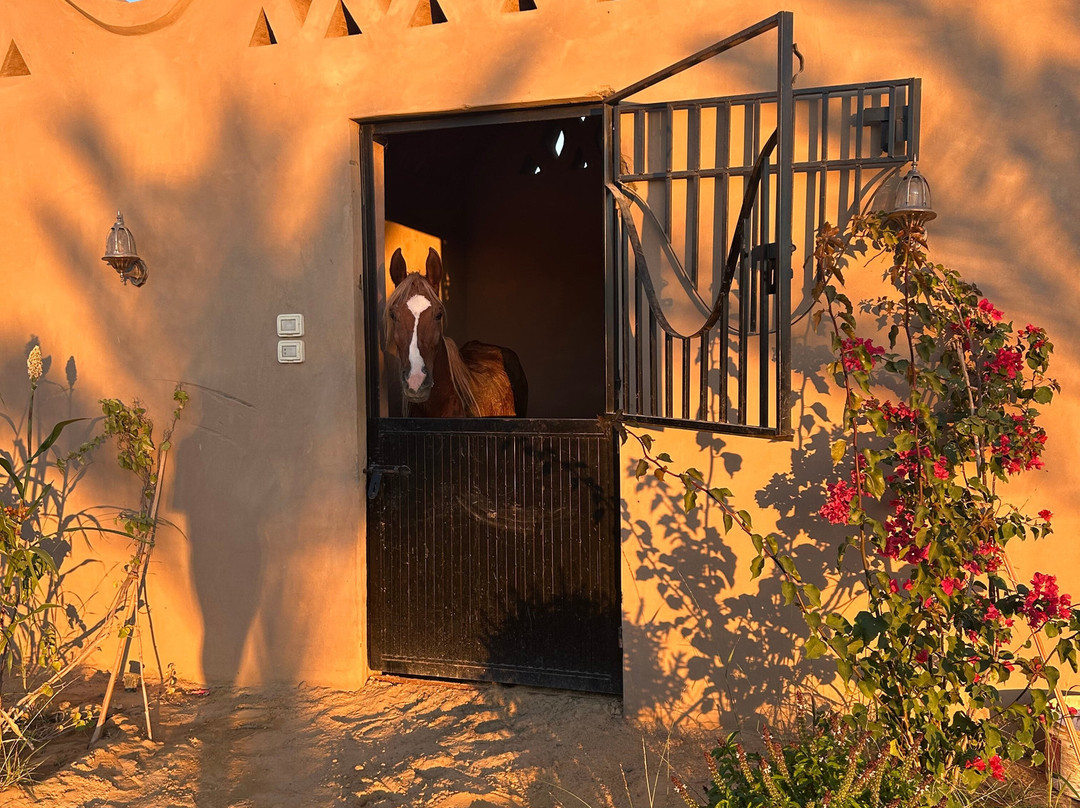 Ride Egypt-赫尔格达必去景点