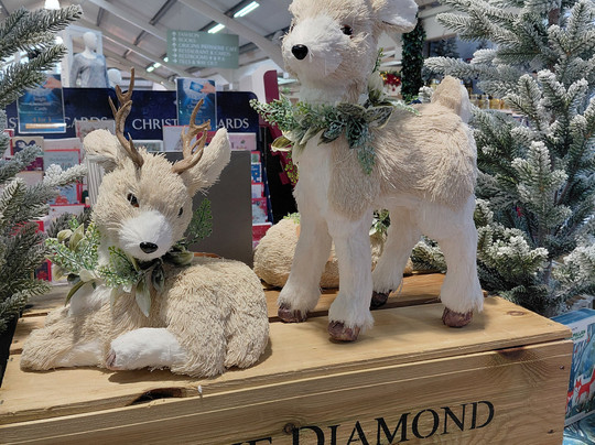 Sanders Garden Centre-Brent Knoll必去景点