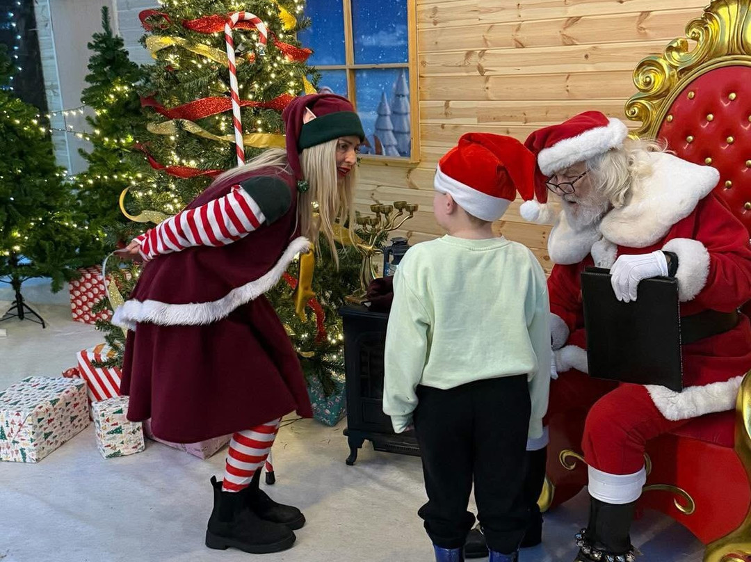 Attwell Farm Park-雷迪奇必去景点