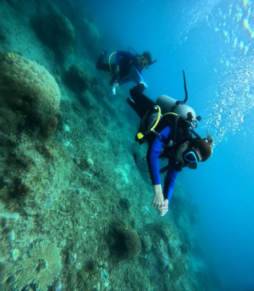 Kurabesi Dive School-雅加达必去景点
