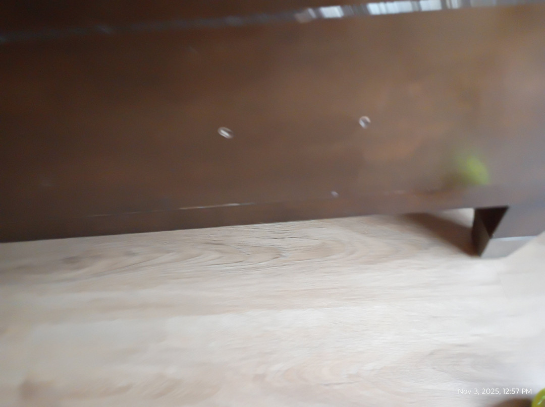 谢尔顿凯悦豪斯酒店主图