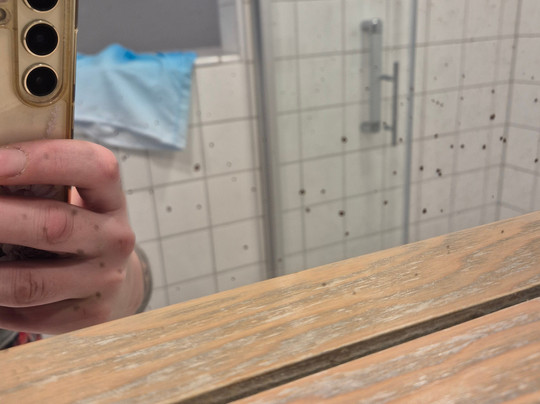 Romantisches Hotel Menzhausen主图