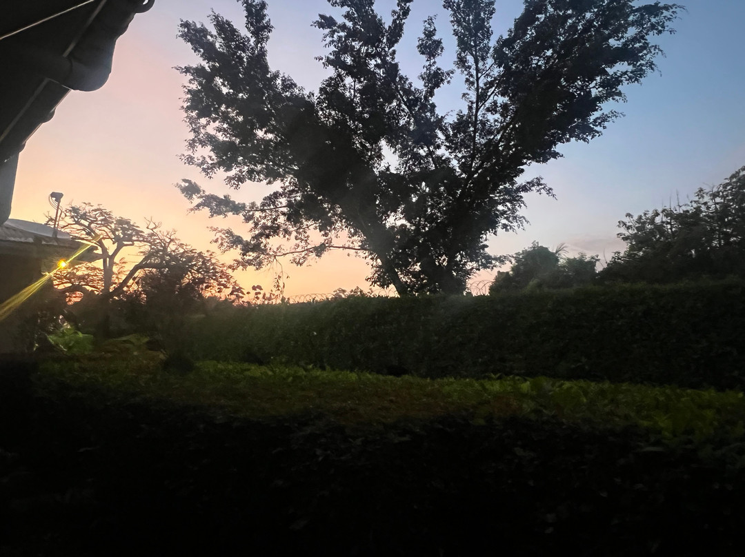 Sunset Entebbe主图