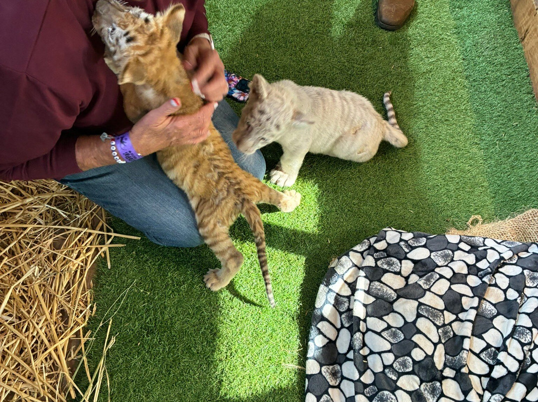 Pai Pai Ecotourism Park-恩塞纳达必去景点