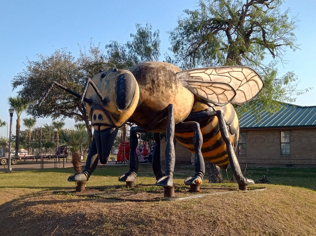 World's Largest Killer Bee-Hidalgo必去景点