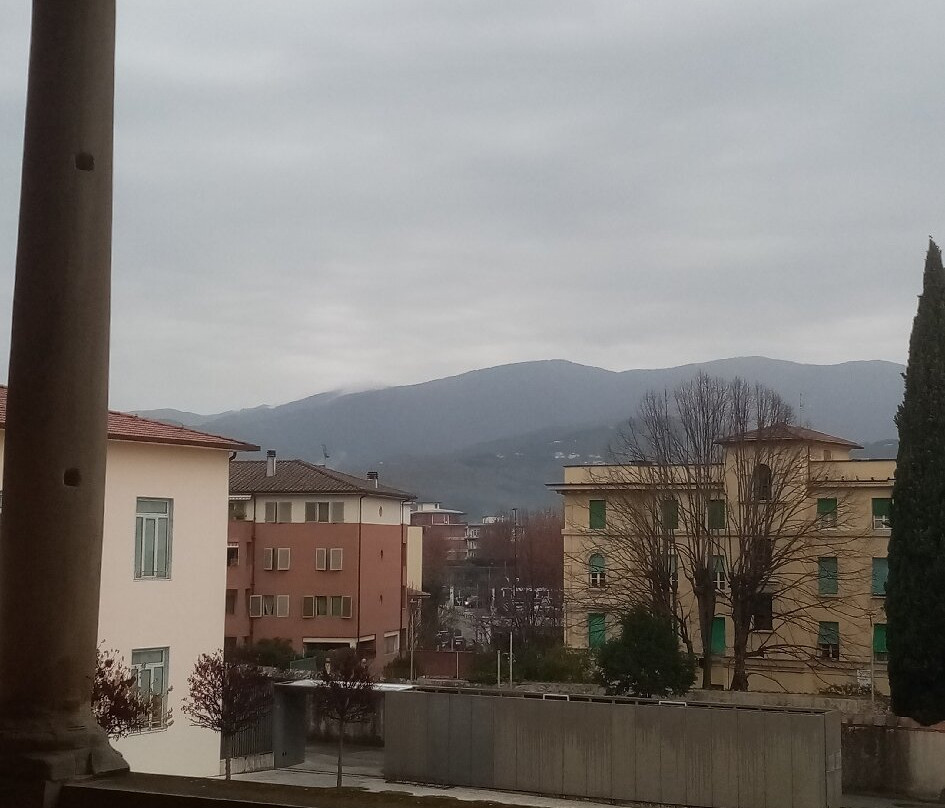 Palazzo Fabroni Arti Visive Contemporanee-皮斯托亚必去景点