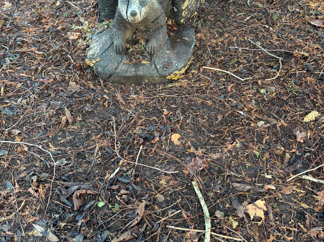Newent Lake And Park