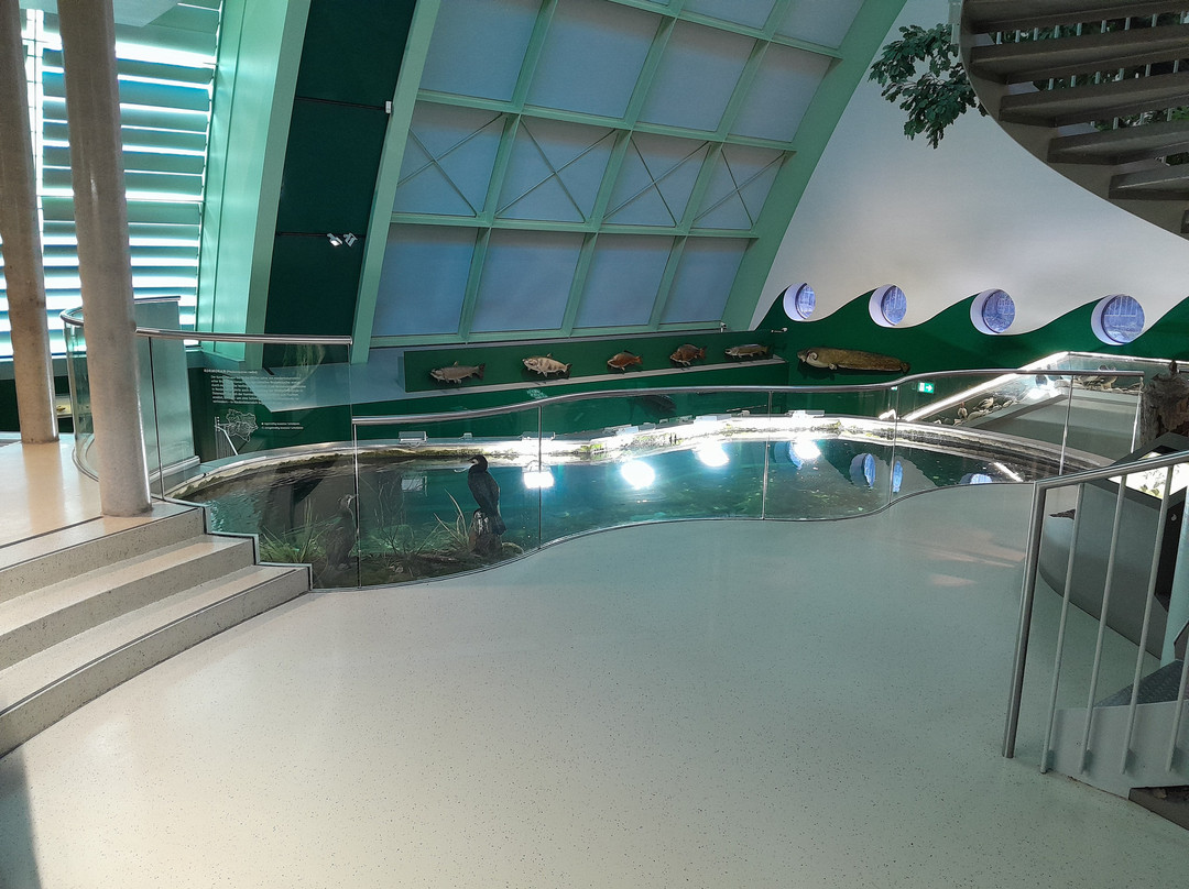 Museum Niederoesterreich-圣珀尔滕必去景点