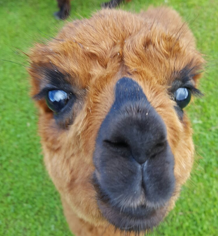 Recreation Complex Raksi-Amatas Novads必去景点