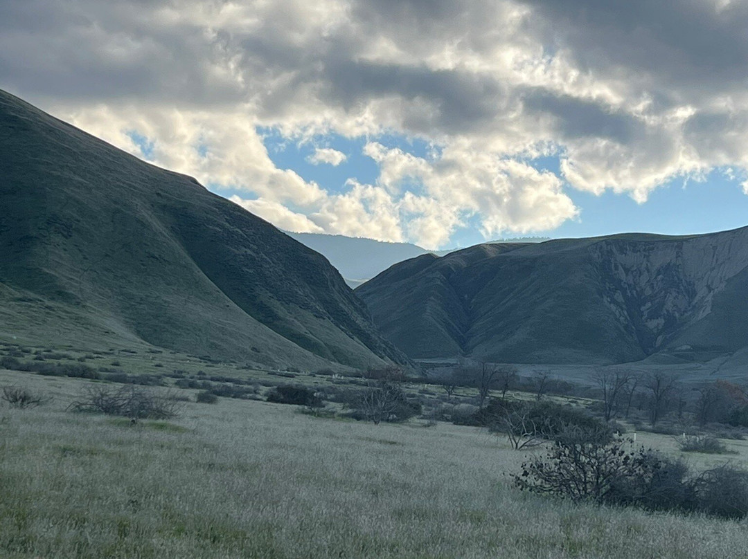 Wind Wolves Preserve-贝克斯菲尔德必去景点