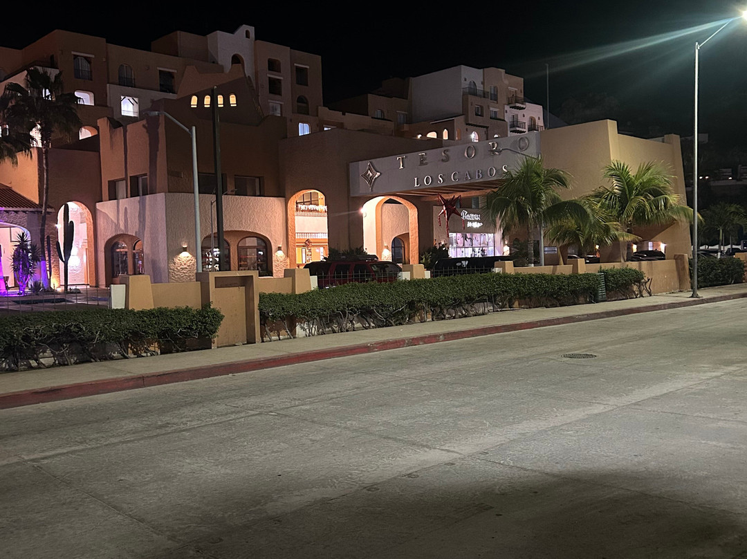 Cabo San Lucas Tours-卡波圣卢卡斯必去景点