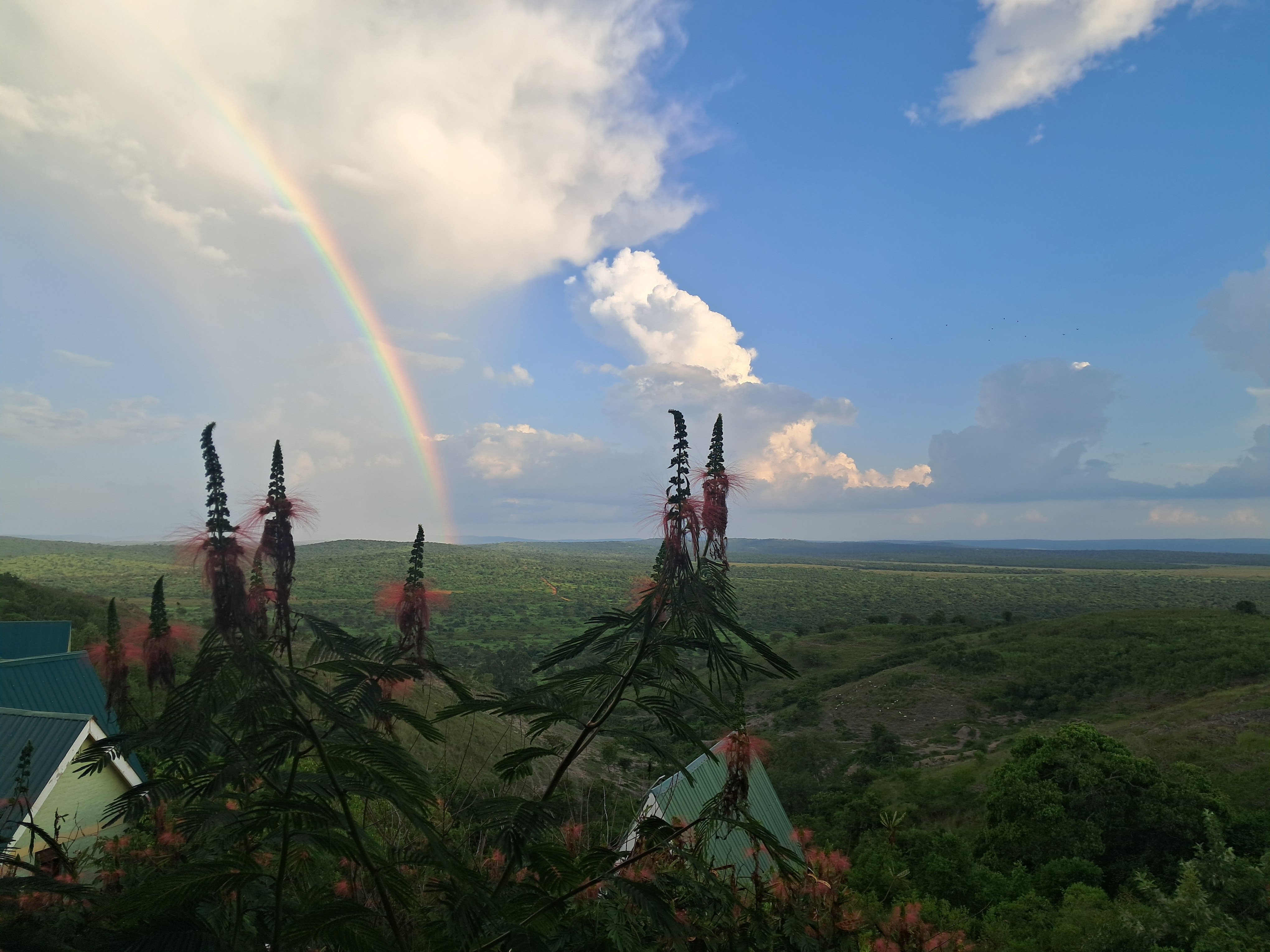 Hyena Hill Lodge-官方