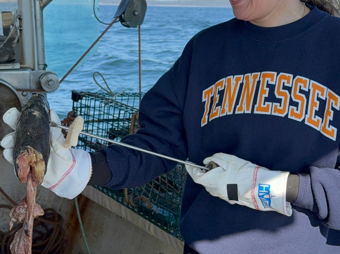 Swan's Island Charters-Swans Island必去景点