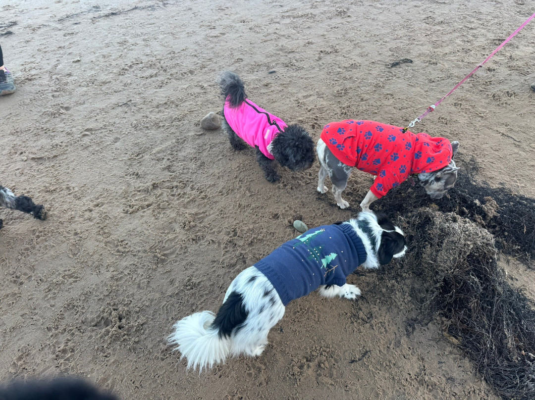 The Dunes Hotel主图