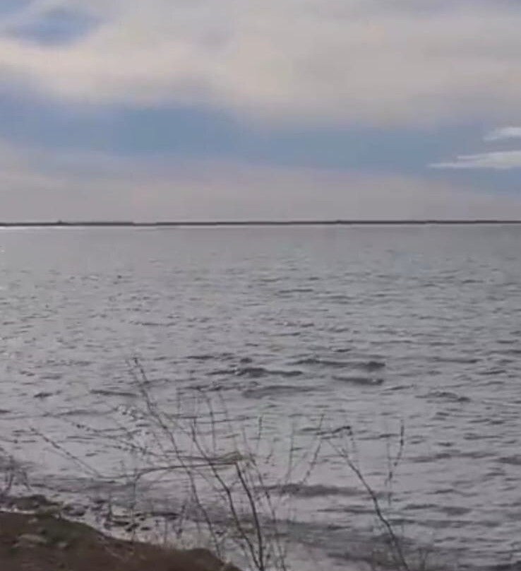 Cochin Public Beach-Cochin必去景点