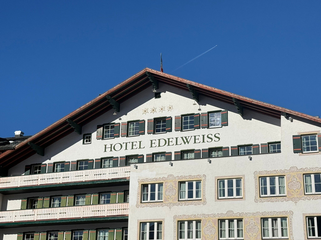 Hotel Edelweiss主图