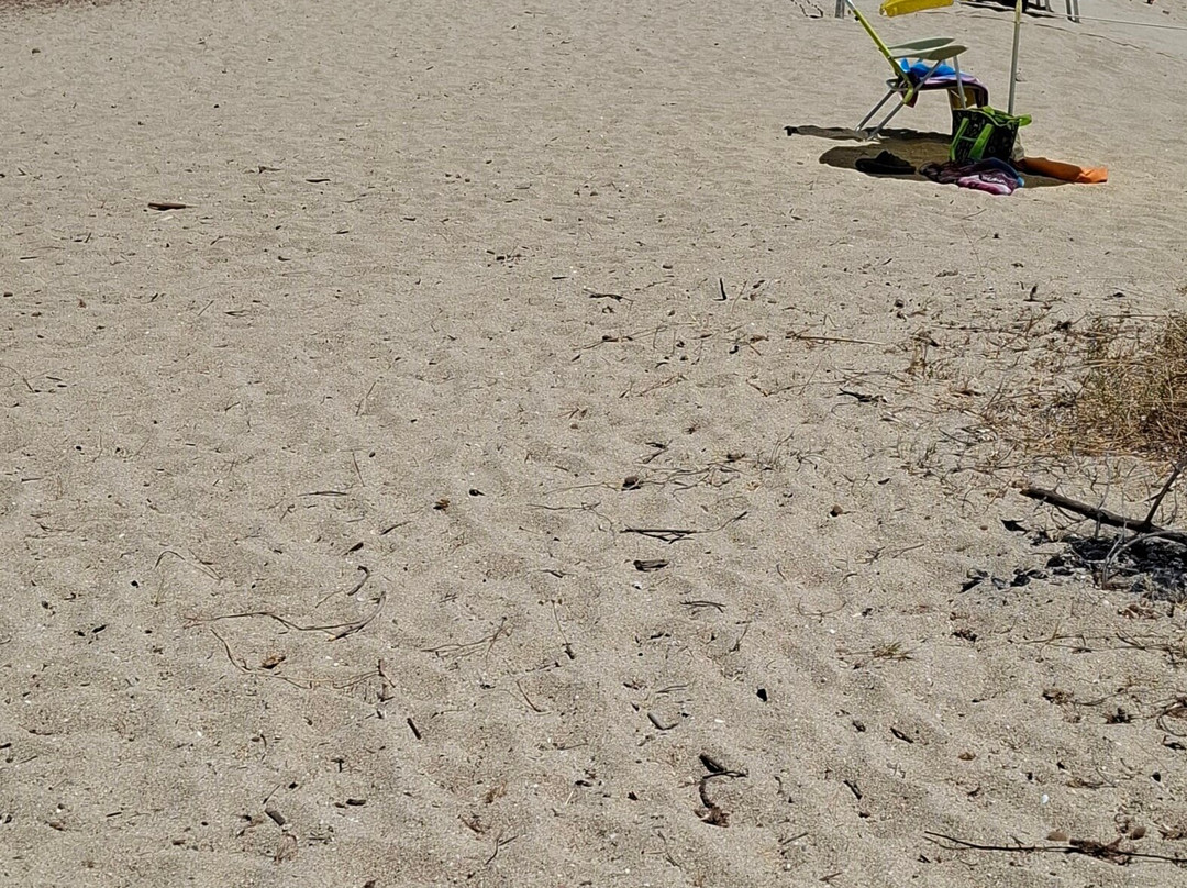 Spiaggia Osalla di Orosei-奥罗塞必去景点