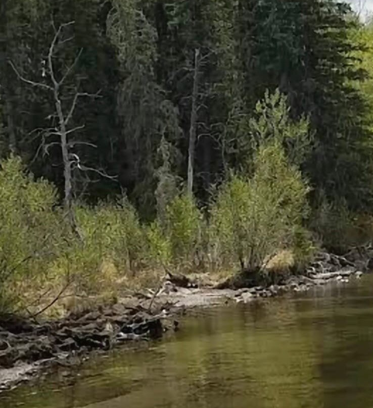 Prince Albert National Park-Waskesiu Lake必去景点