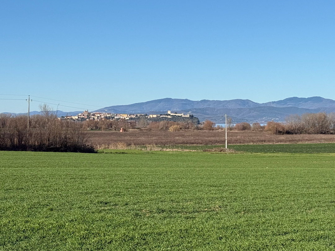Pista Ciclabile del Trasimeno
