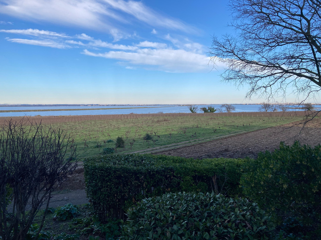 Cathédrale De Maguelone-Villeneuve-les-Maguelone必去景点