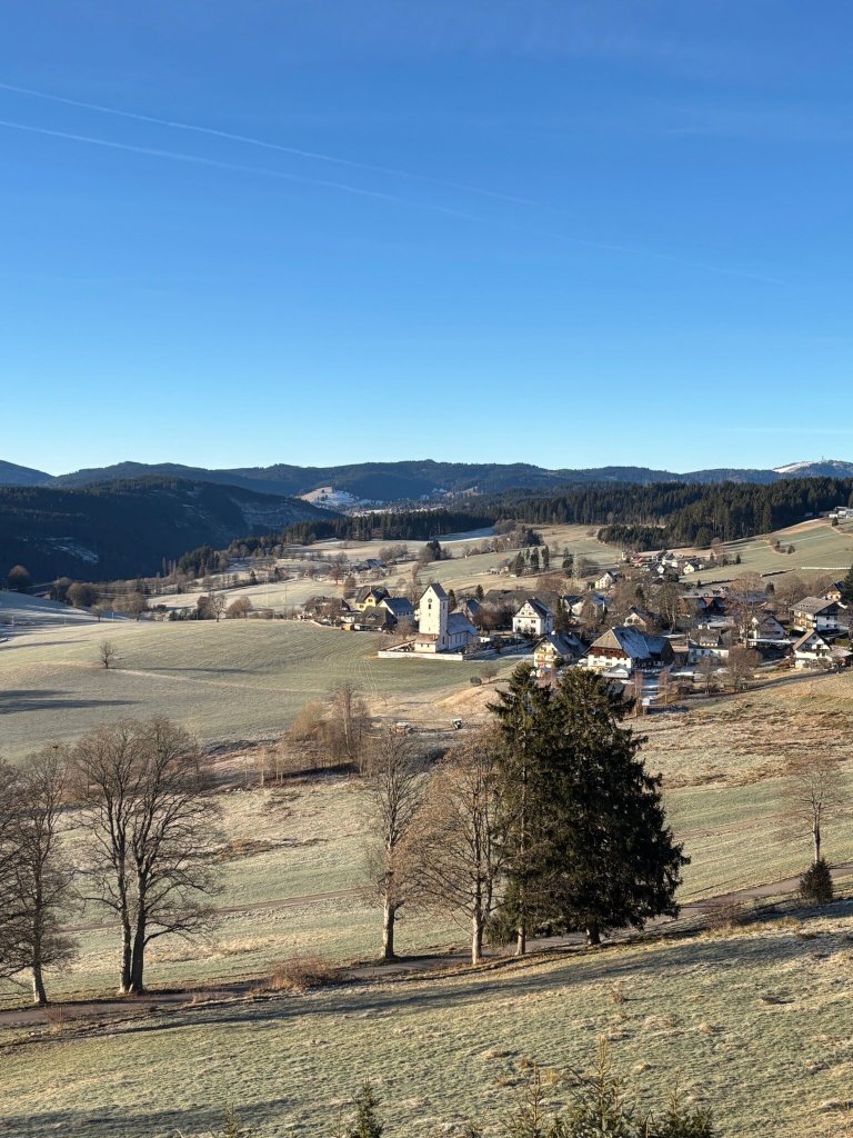 JUFA Hotel Schwarzwald-官方