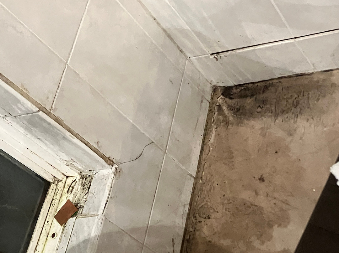 Sleep Inn Decatur I-72主图