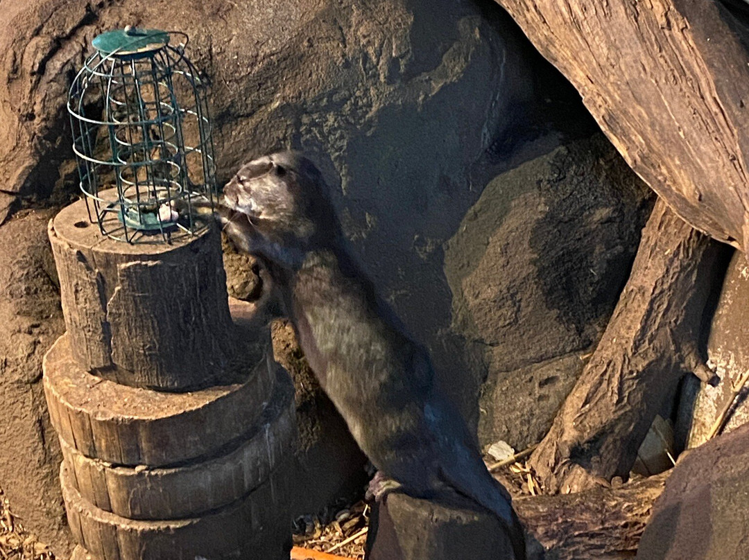 Oceanarium-伯恩茅斯必去景点