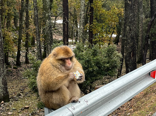 I Go Morocco-马拉喀什必去景点