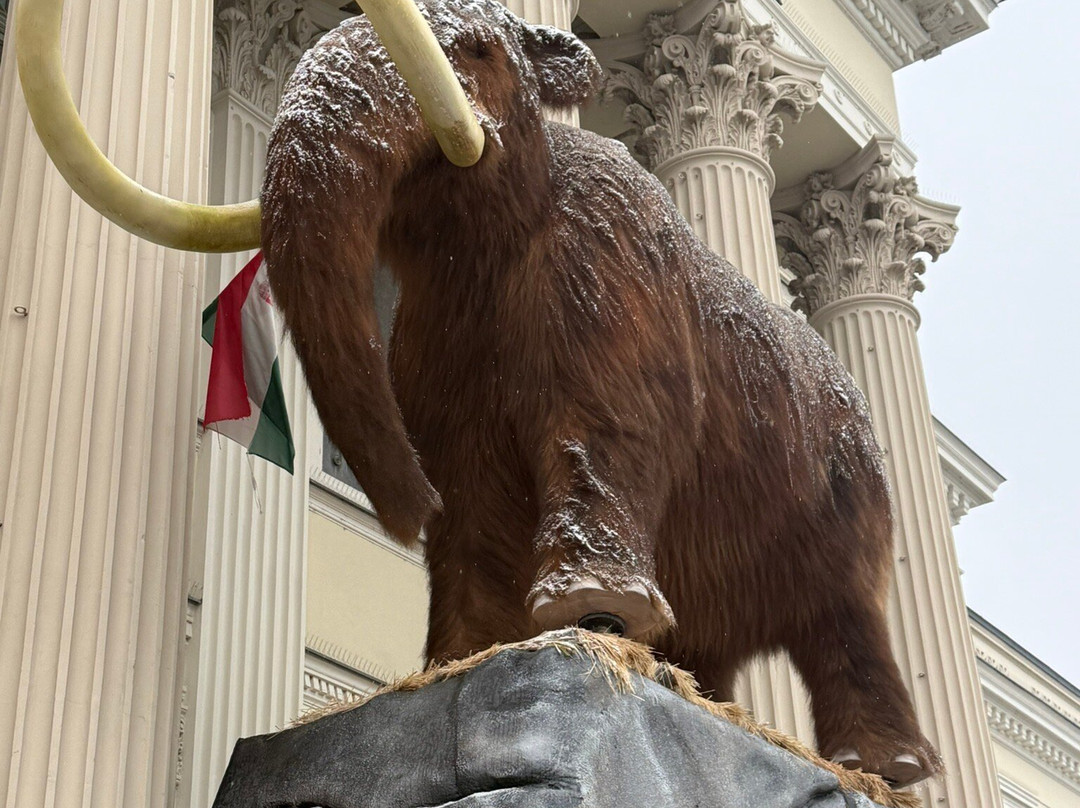 Móra Ferenc Múzeum-塞格德必去景点