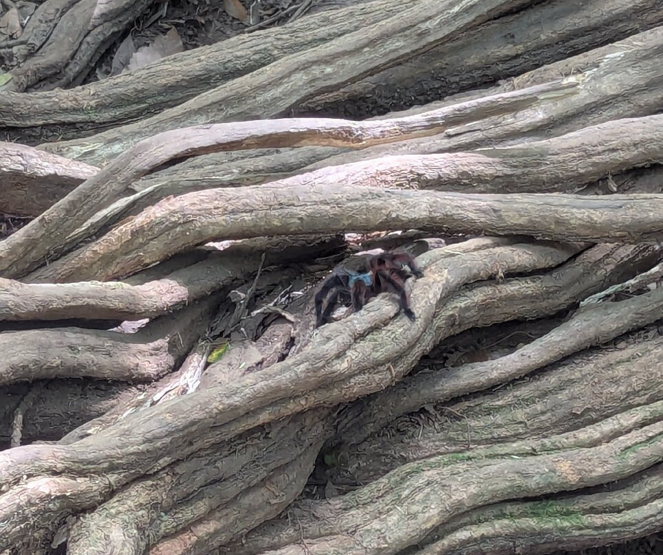 Cascade Couleuvre-Le Precheur必去景点