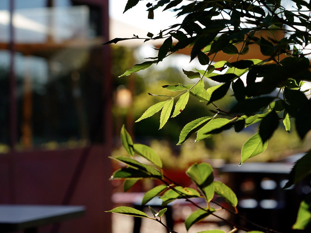 Café La Métairie-卡尔卡松必去景点