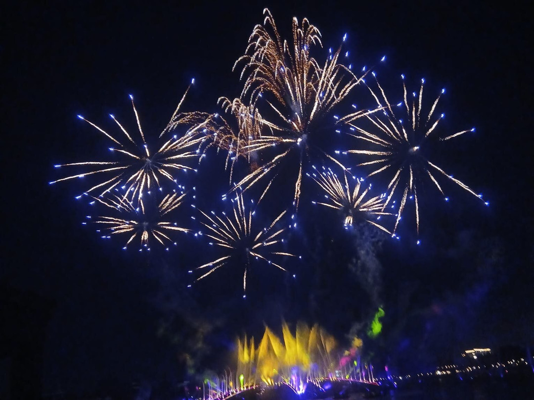 Luminous: The Symphony of Us-Bay Lake必去景点