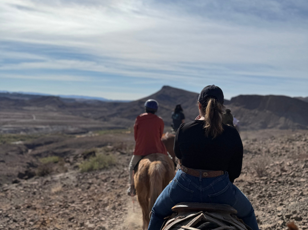 Big Bend & Lajitas Stables-Terlingua必去景点