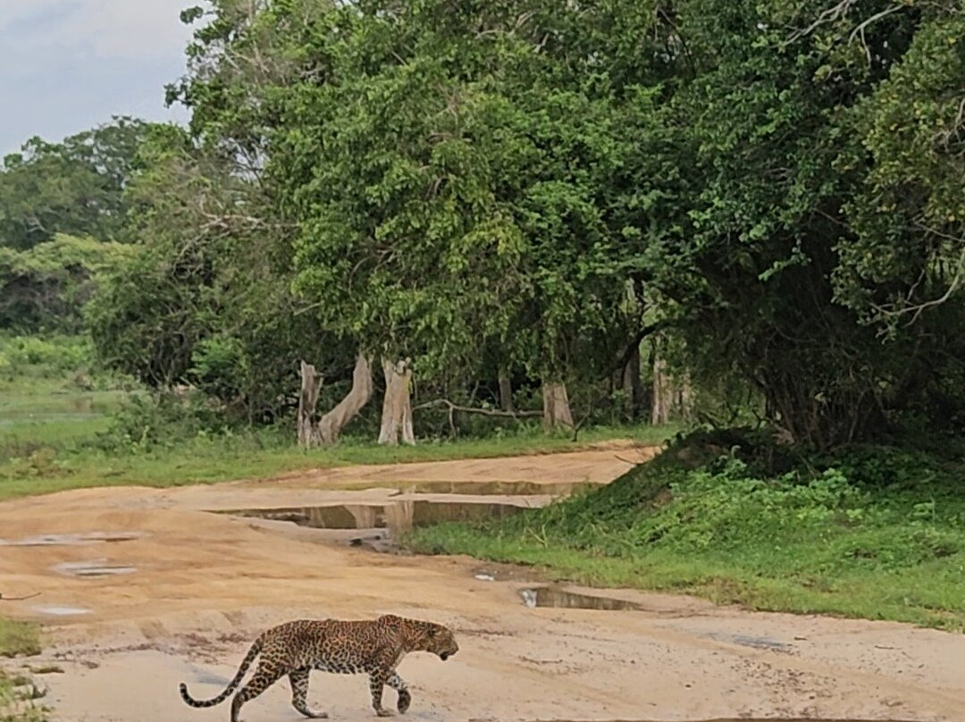 Harrysuni Tours-尼甘布必去景点