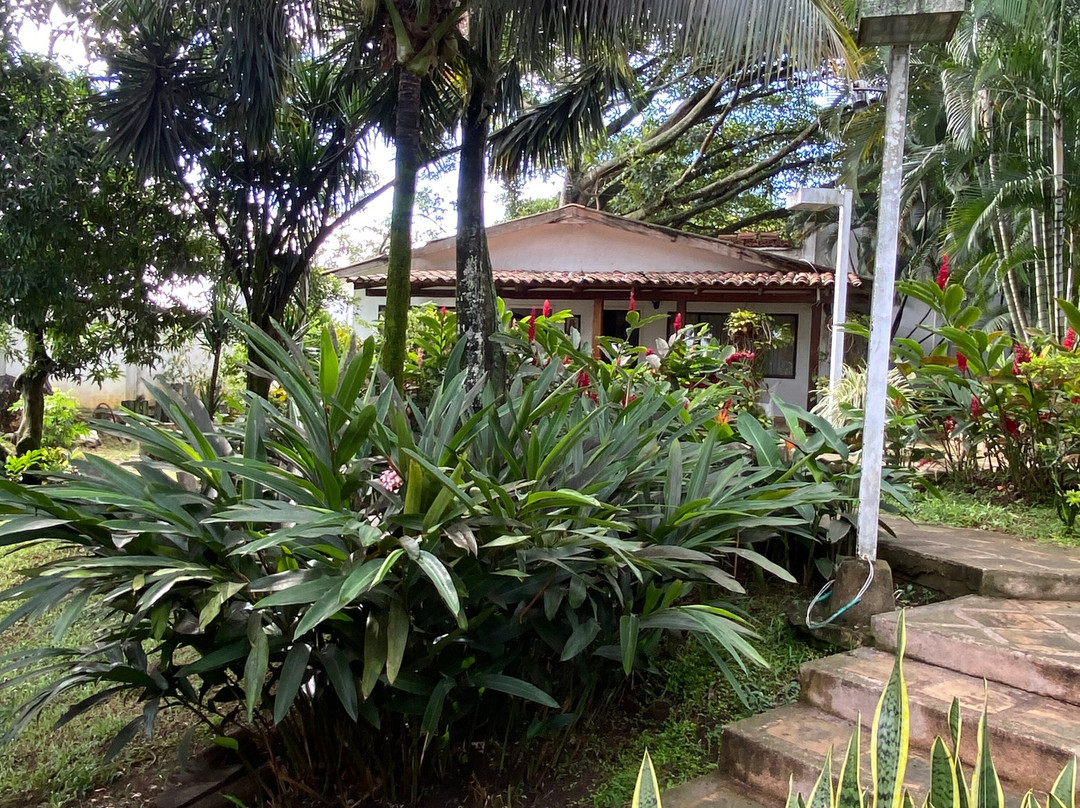 Hotel Boutique Villa Casuarinas主图