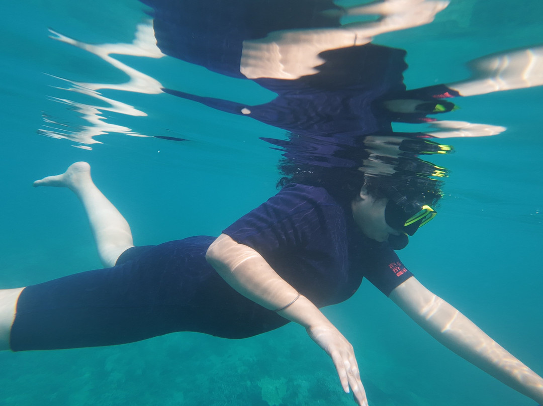 Turquoise Dream-Neil Island必去景点