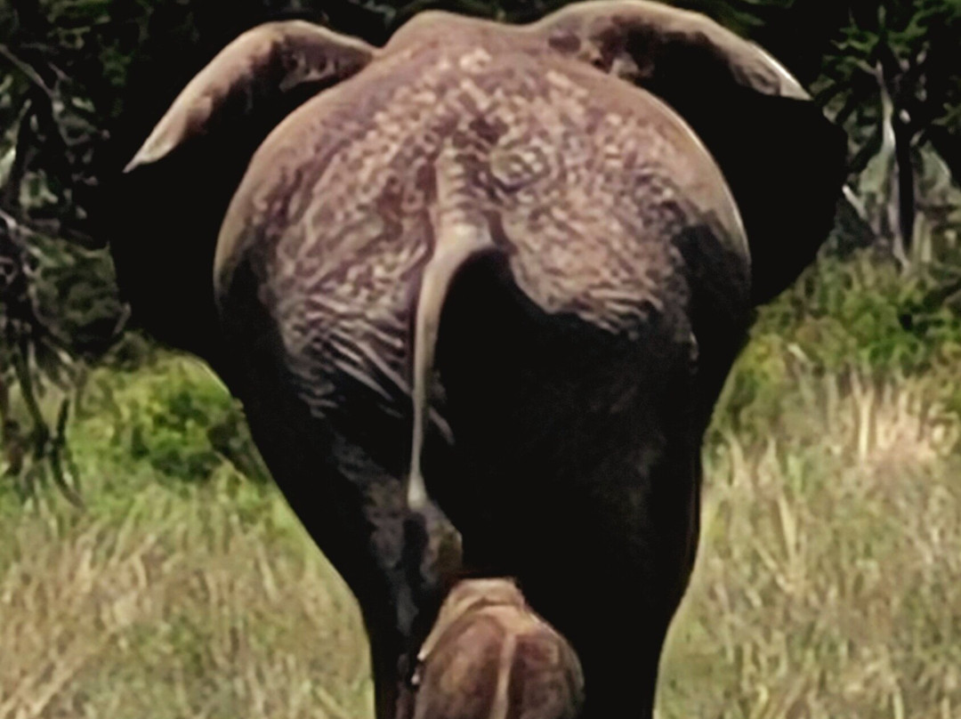 Namibia-Experience-温德和克必去景点