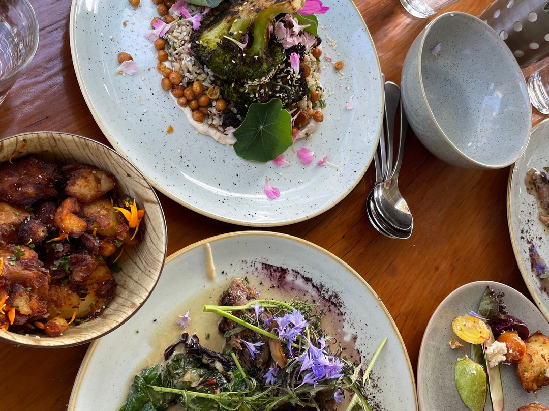 Milton Vineyard-斯旺西必去景点