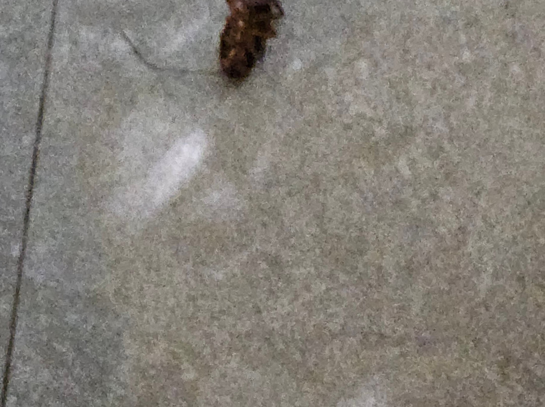 斯里兰塔水疗度假村主图