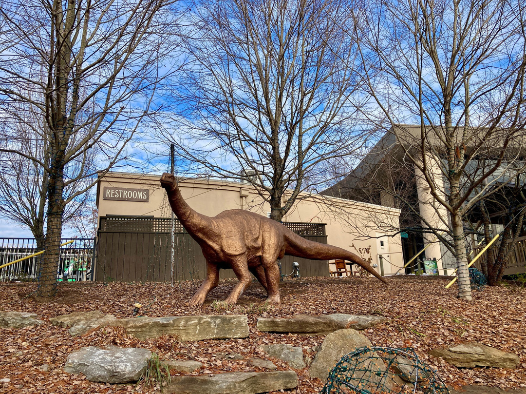 Creation Museum-Petersburg必去景点