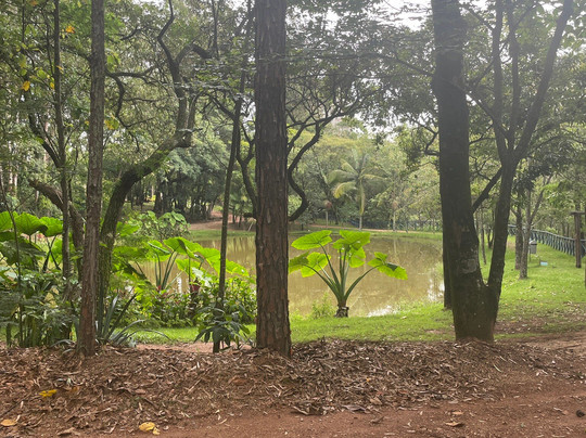 Parque Natural Chico Mendes-索罗卡巴必去景点