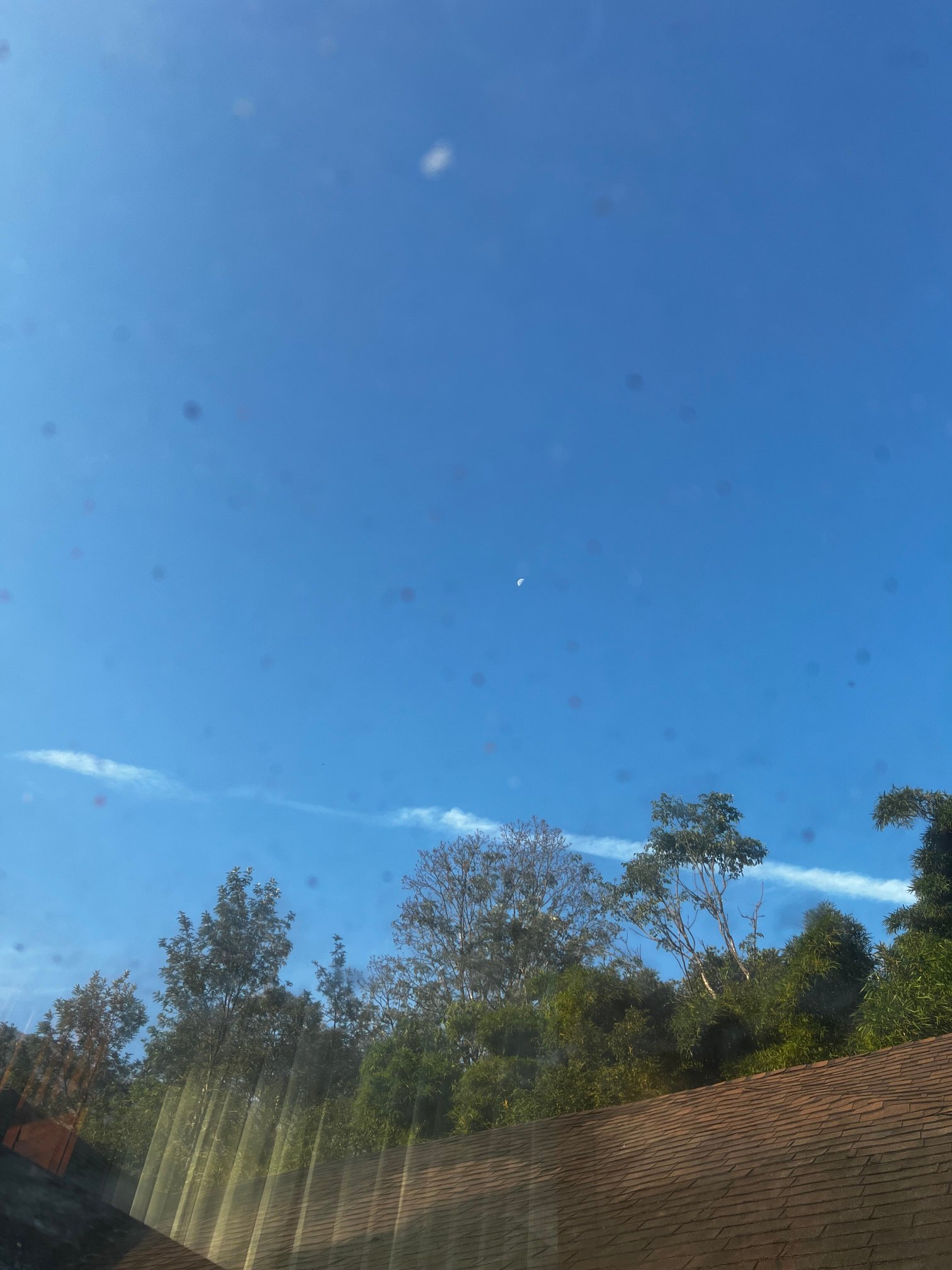 塔玛拉古尔格度假村-客卧