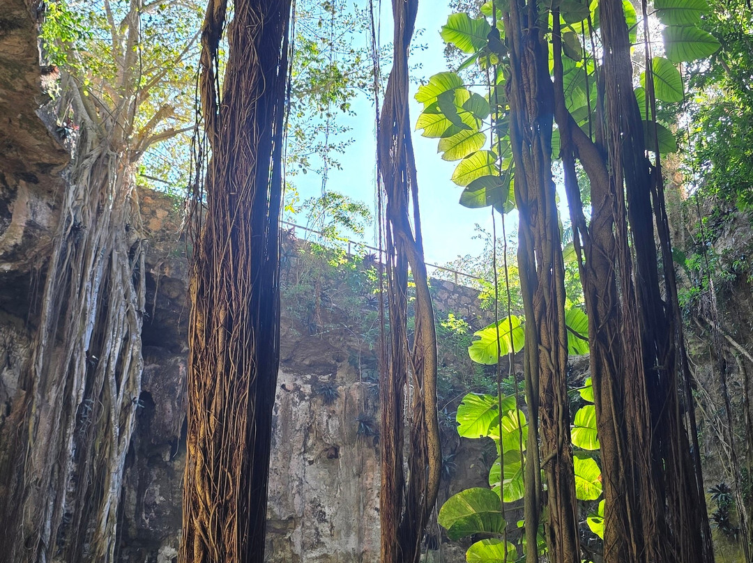 Cénote San Lorenzo Oxman-巴利亚多利德必去景点