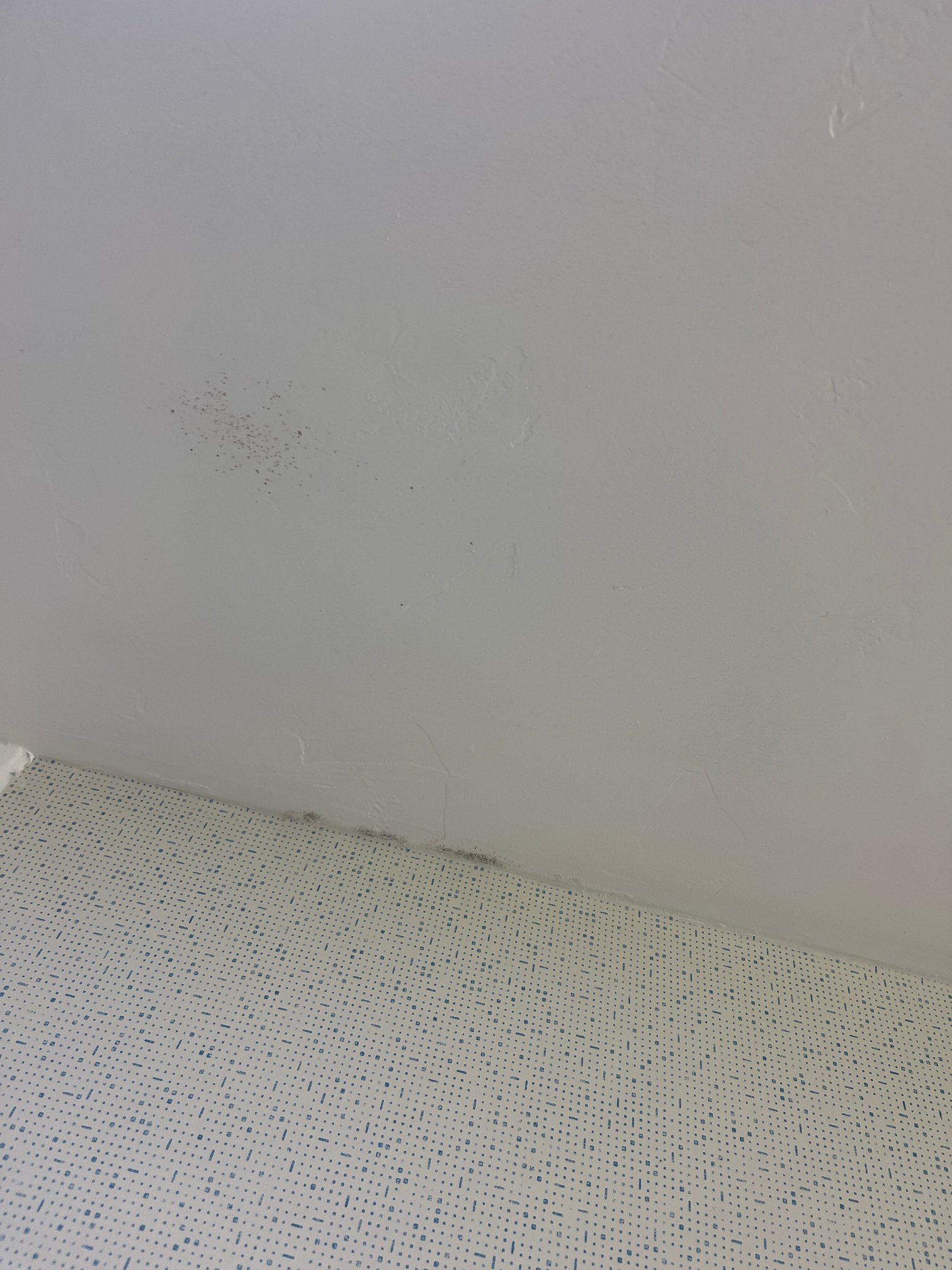 西南奥罗维尔快捷假日&套房酒店-官方