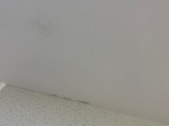 西南奥罗维尔快捷假日&套房酒店主图